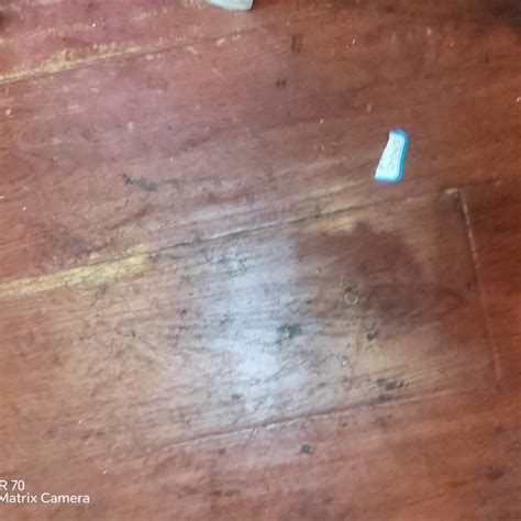 产品展示 雨燕直播